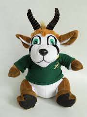Brand new official product Springbok Bokkie!!  10 ON AUCTION!!
