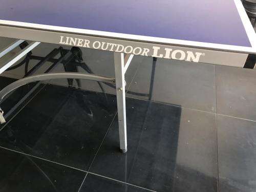 Liner Outdoor Lion Table Tennis Table