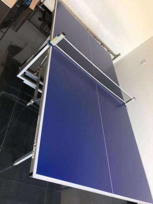 Liner Outdoor Lion Table Tennis Table