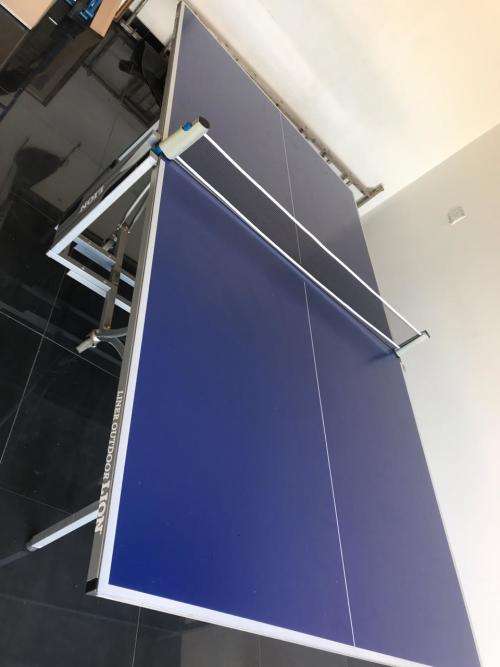 Liner Outdoor Lion Table Tennis Table