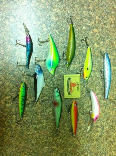 Set of 10 New Fishing Lures - Fresh or Salt Water