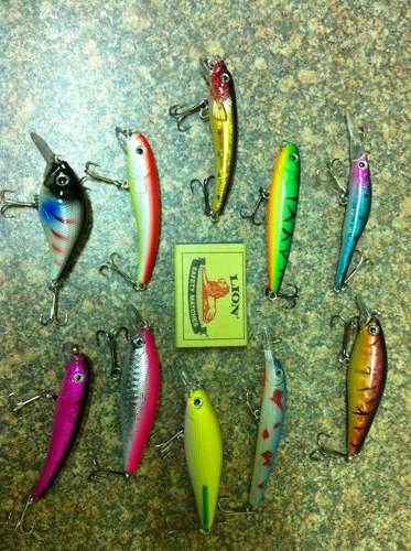 Set of 10 New Fishing Lures - Fresh or Salt Water