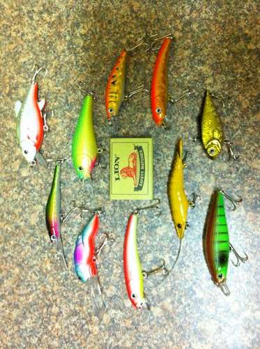 Set of 10 New Fishing Lures - Fresh or Salt Water