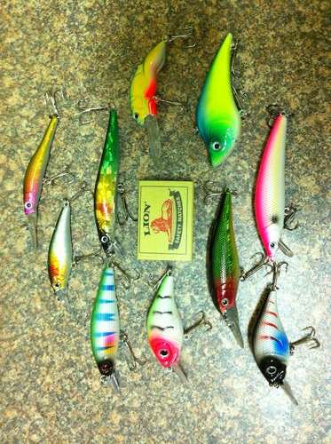 Set of 10 New Fishing Lures - Fresh and Salt Water