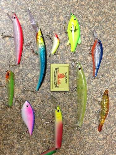 Set of 10 New Fishing Lures - Fresh or Salt Water