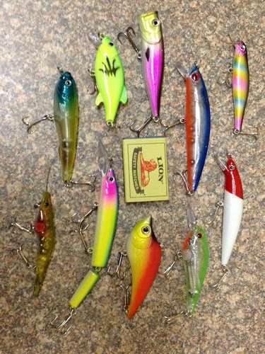 Set of 10 New Fishing Lures - Fresh or Salt Water
