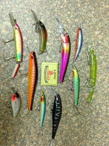Set of 10 New Fishing Lures - Fresh or Salt Water