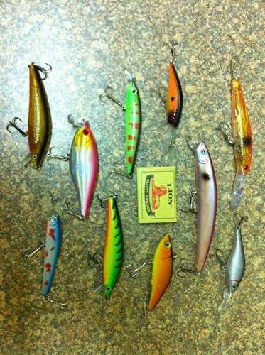 Set of 10 New Fishing Lures - Fresh or Salt Water