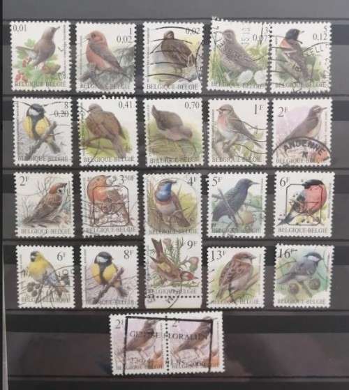 Belgium Birds