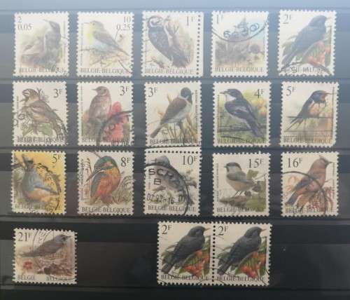 Belgium Birds