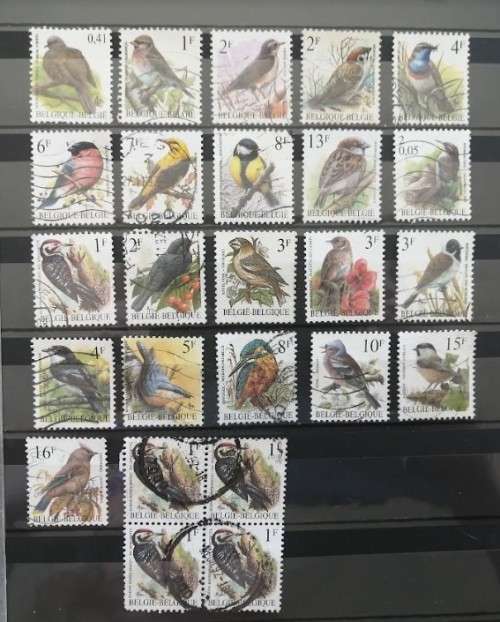 Belgium Birds
