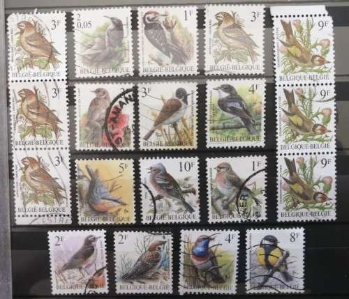 Belgium Birds