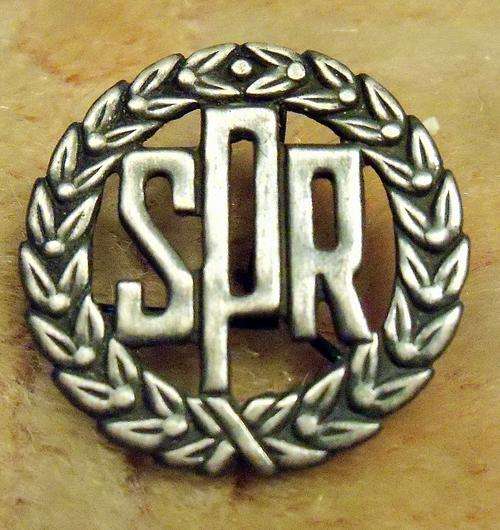 Poland - army -Original  korps badge