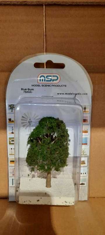 Blue Gum HO Scale-75mm