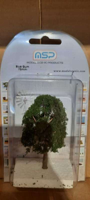 Blue Gum HO Scale-75mm