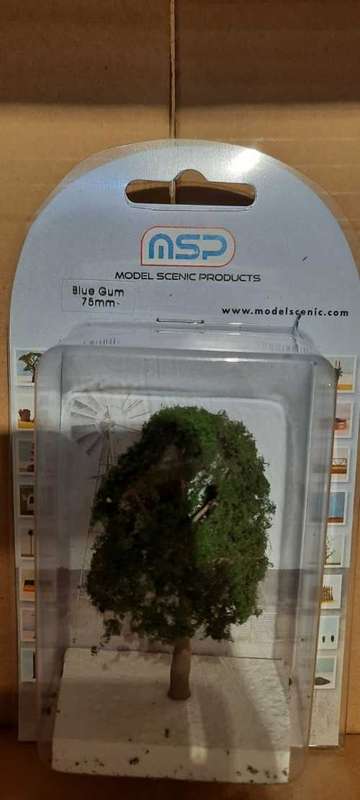 Blue Gum HO Scale-75mm