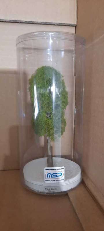 Blue Gum HO Scale-150mm