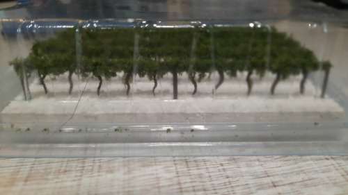 Vineyard HO Scale