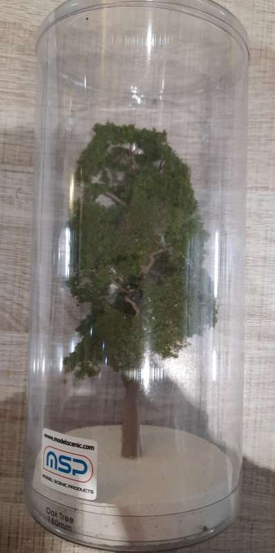 Oak Tree 150mm