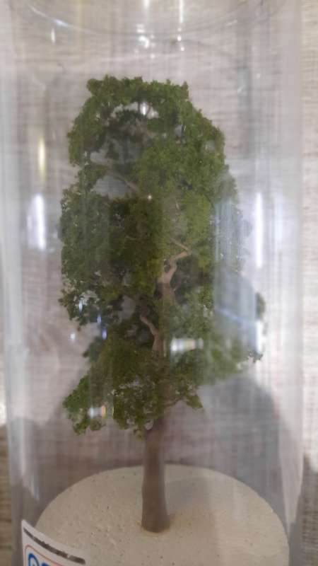 Oak Tree 150mm