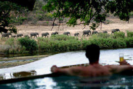 7 night 16-23 nov never seen before 10 sleeper@Nqwenya lodge 5 star value R28000