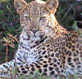 22/03-29/03/2013 Easter holiday 6 sleeper @Crystal Springs 5 Star Resort Value R 17 000!!