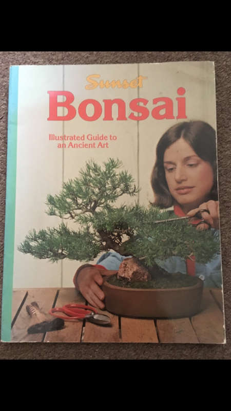 Bonsai - Illustrated Guide to an Ancient Art