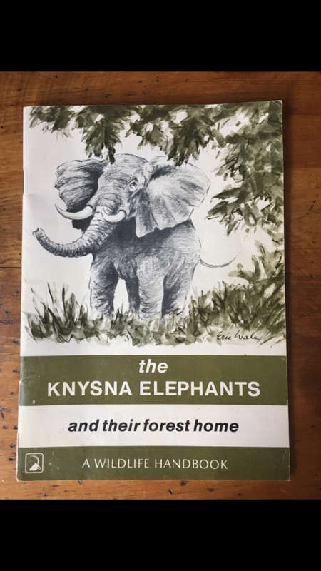 The Knysna Elephants and their forest home by Margo Mackay