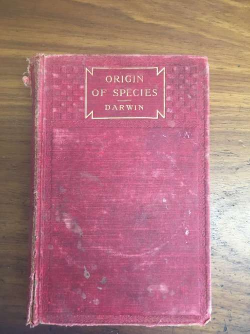 Origin of Species - Darwin - 1901