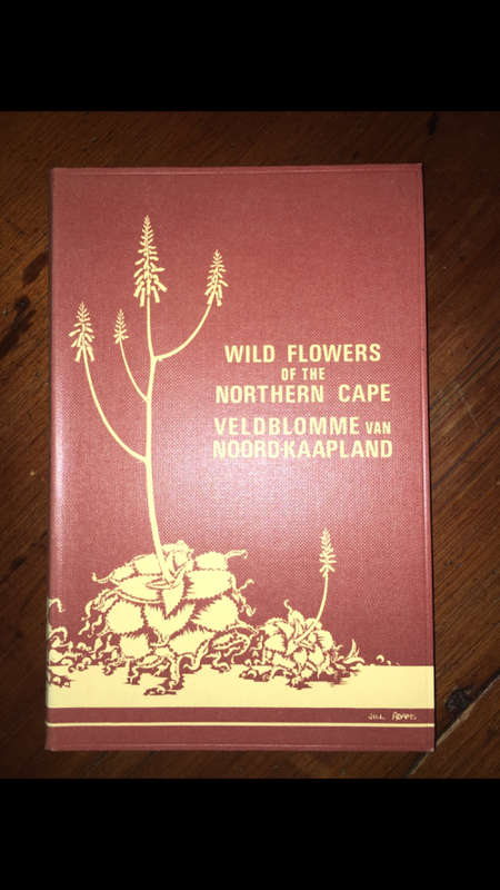 Wild Flowers of the Northern Cape - Veldblomme van Noord-Kaapland