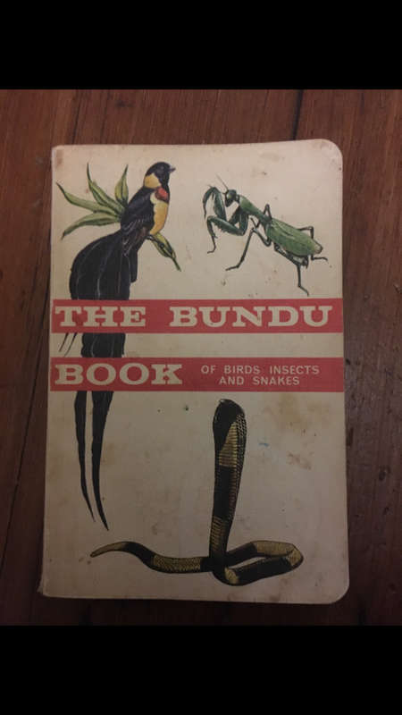 The Bundu Book of Birds Insects and Snakes