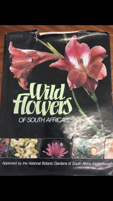 Wild Flowers of South Africa