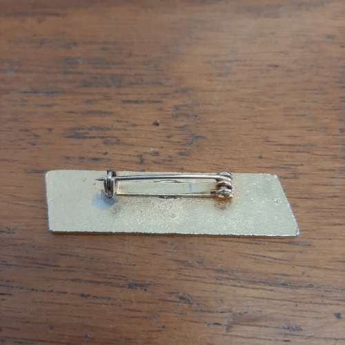 S.A.E.M. Badge