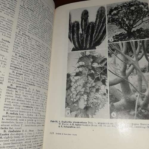 Lexicon of Succulent Plants - Hermann Jacobsen