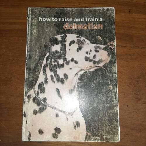 How to Raise and Train a Dalmatian