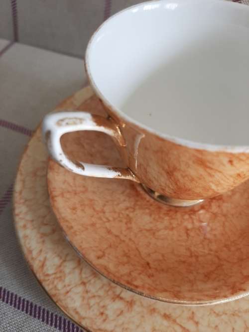 Royal Albert Gossamer Orange Trio - Smaller cup