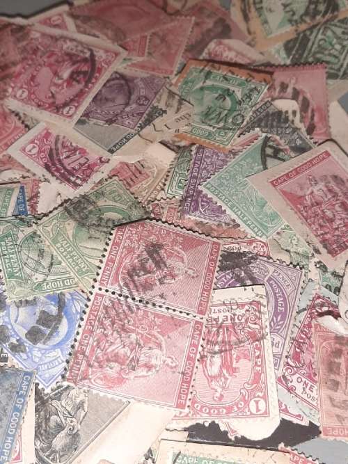 235 x Cape of Good Hope stamps in old box