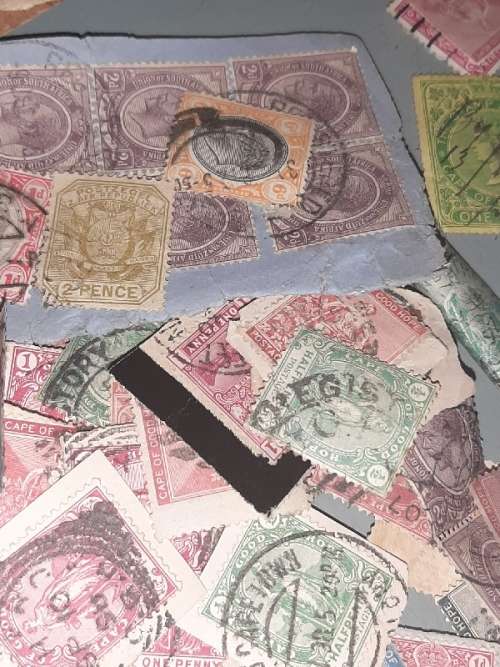 235 x Cape of Good Hope stamps in old box