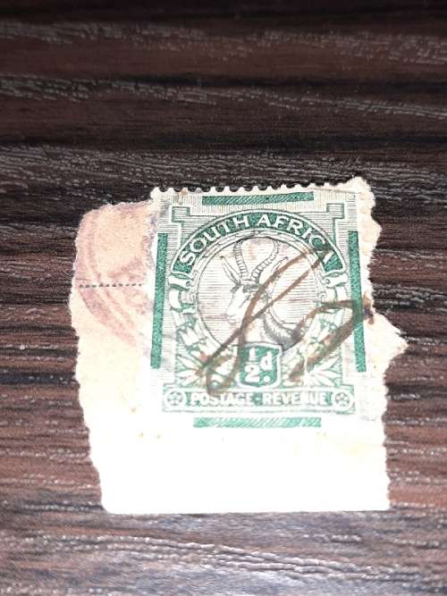 South Africa 1/2d Springbok stamp
