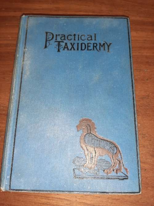 Practical Taxidermy - 1922