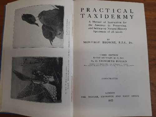 Practical Taxidermy - 1922