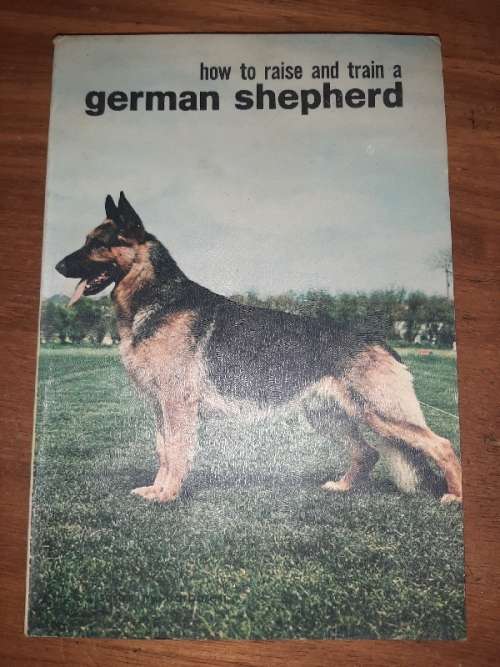 How to raise and train a German Shepherd