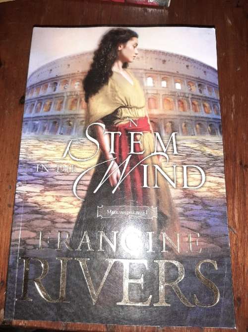 'n Stem in die Wind - Francine Rivers