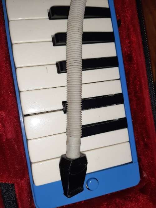 Apollo Melodiker M-37N - Melodica in case