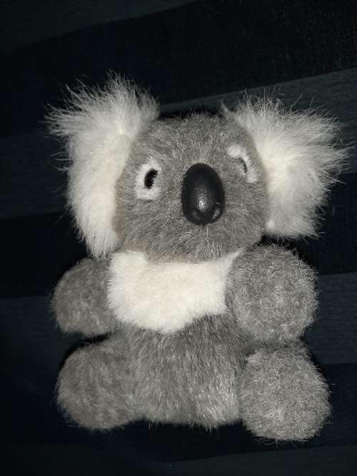 Beautiful Furry Kuala Bear - 17 cm