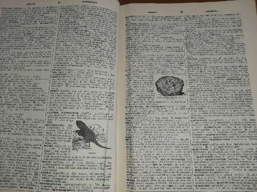 The New Century Dictionary - Volume 1 - 1948