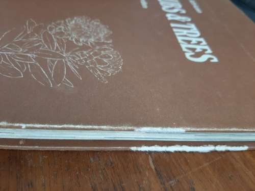 South African Shrubs & Trees for the Garder - Una Van Der Spuy