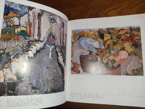 Irma Stern - A Feast for the Eye - Marion Arnold
