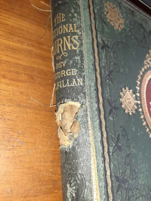The National Burns - Rev. George Gilfillan - Beautiful Very Old Book