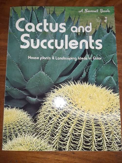 Cactus and Succulents - House plants & Landscaping Ideas in Color
